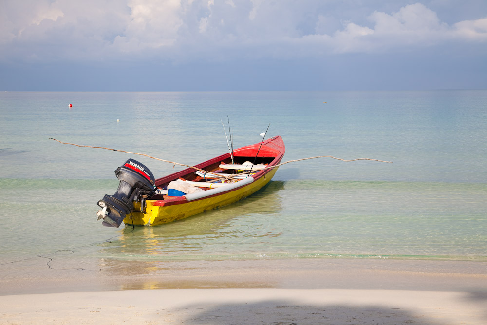 Dog Walking the latest mustdo activity in the Cayman Islands